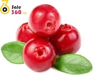 cranberries-1385714223