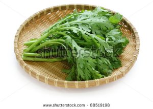 stock-photo-chrysanthemum-greens-garland-chrysanthemum-shungiku-88519198