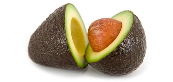 avocado_570