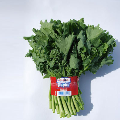 rapini-01