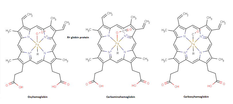 Structures_of_Hemoglobin_forms