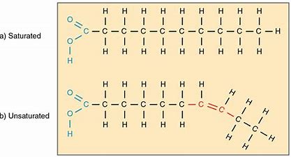 saturated and unsaturated models